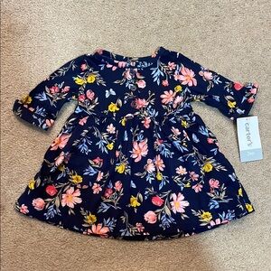 Carter's Blue and Pink Pleated Sundress with Long Cuffed Sleeves